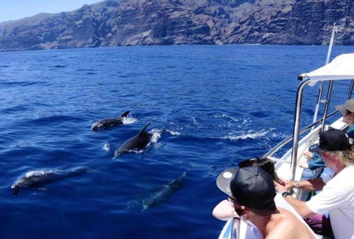 Apartamento incleibles vistas al océano y piscina. Acantilado de los Gigantes Exterior foto